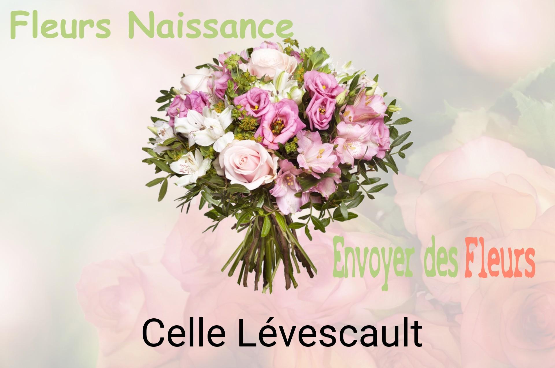 Bouquet de fleurs de naissance livré à Celle-Lévescault